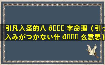 引凡入圣的八 🐒 字命理（引っ入みがつかない什 🐕 么意思）